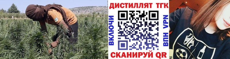 Купить где  Красный Холм  ТГК Wax 