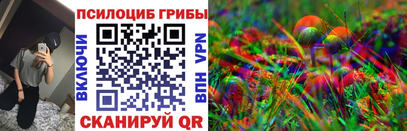 Купить где  Красный Холм  Галлюциногенные грибы GOLDEN TEACHER 